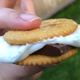 Illustration for article titled Make s’mores with Ritz crackers